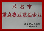 重點農業(yè)龍頭企業(yè)