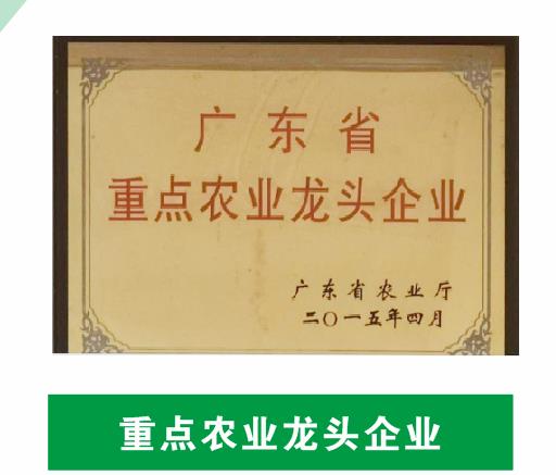 重點農業(yè)龍頭企業(yè)